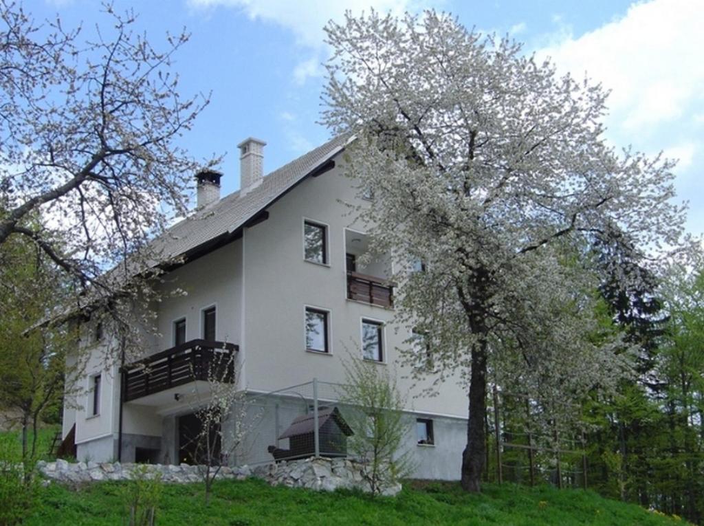 Apartments Pri Marjetki Cerkno Exterior photo
